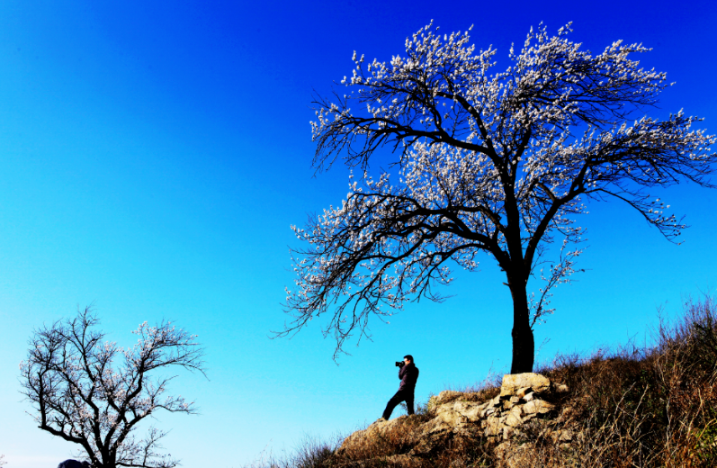 圖片.png 圖片.png