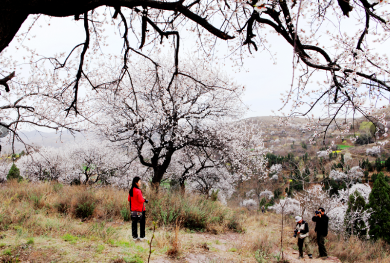 圖片.png 圖片.png