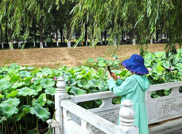 圖片.png 圖片.png