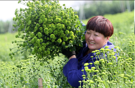 圖片.png 圖片.png