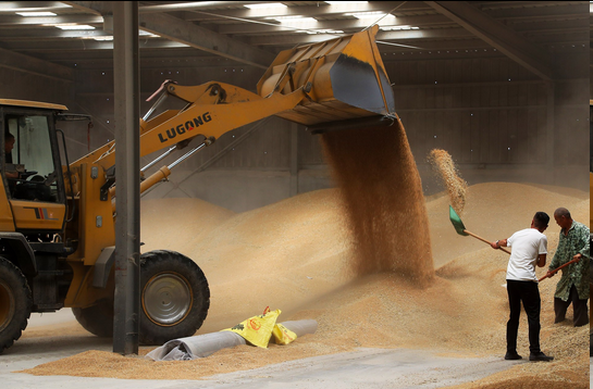 圖片.png 圖片.png